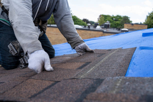 Best Roof Moss and Algae Removal  in Red Oak, IA